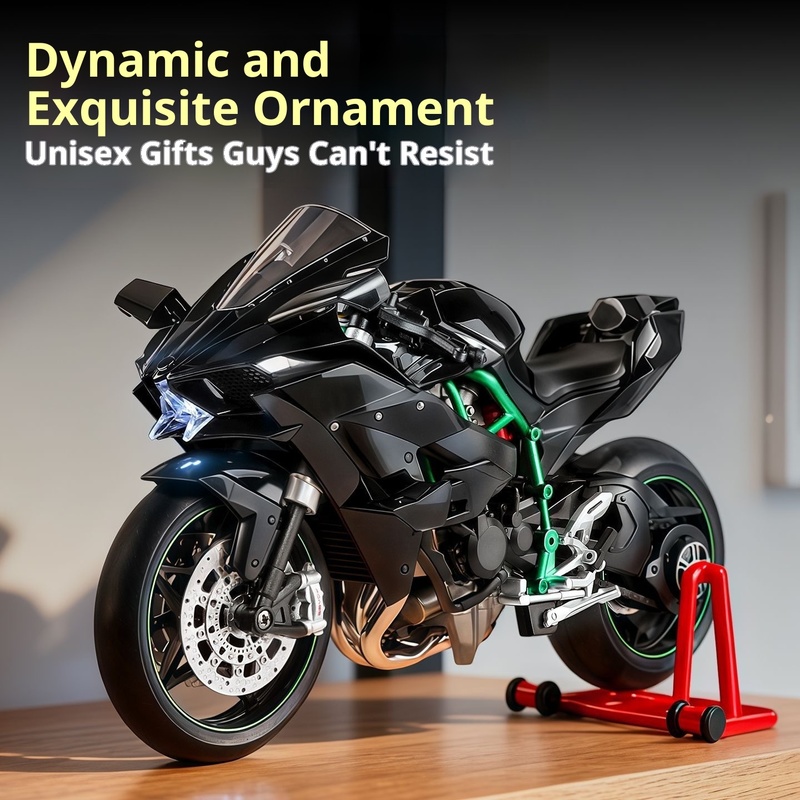 Kawasaki Ninja H2R Model Dynam – Battery Case Storage recenzja i cena